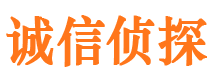 略阳侦探